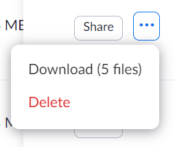 "More" menu which allows users to download a recording's files or delete